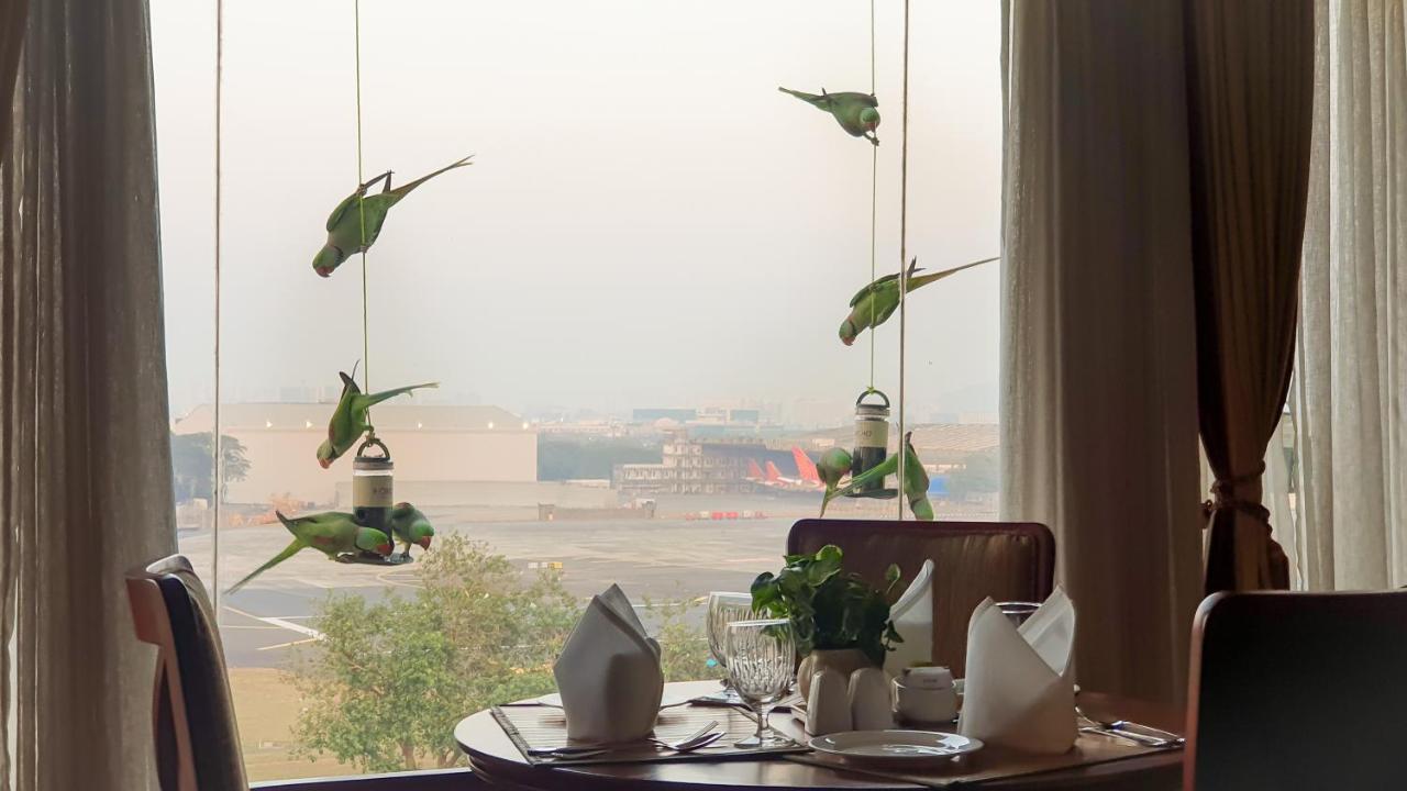 The Orchid Hotel Mumbai Vile Parle Exterior foto Parrots at the airport